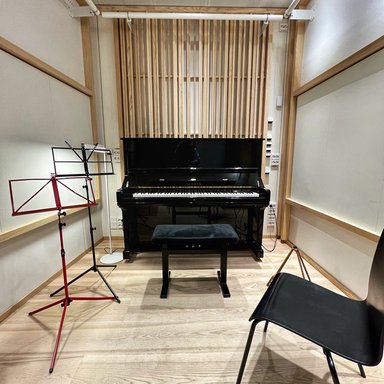 Acoustic instruments studio